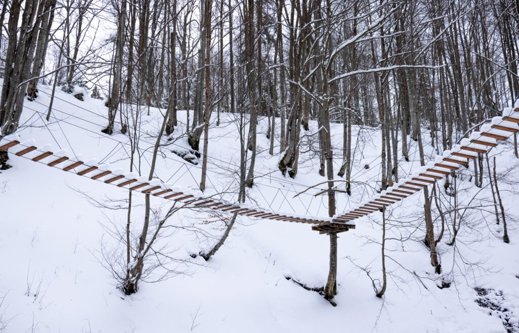 rope park covered with snow is located in the trees in a desert forest in winter