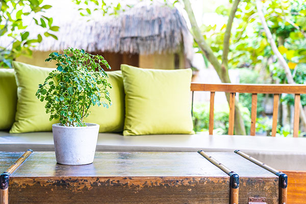 vase plant table decoration with pillow sofa chair